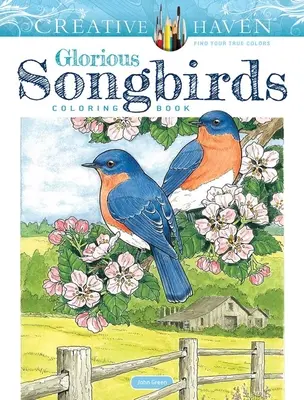 Kolorowanka z serii Creative Haven Glorious Songbirds - Creative Haven Glorious Songbirds Coloring Book