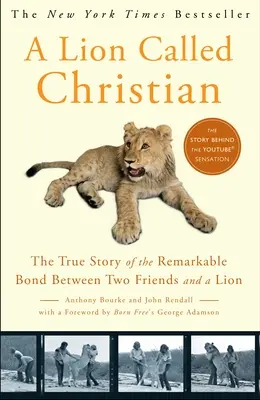 Lew zwany chrześcijaninem - A Lion Called Christian