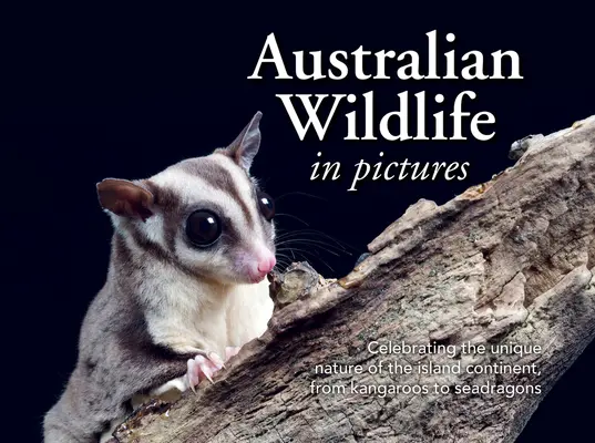 Australijska dzika przyroda w obrazach: Świętując wyjątkową naturę kontynentu wyspiarskiego, od kangurów po smoki morskie - Australian Wildlife in Picture: Celebrating the Unique Nature of the Island Continent, from Kangaroos to Sea Dragons