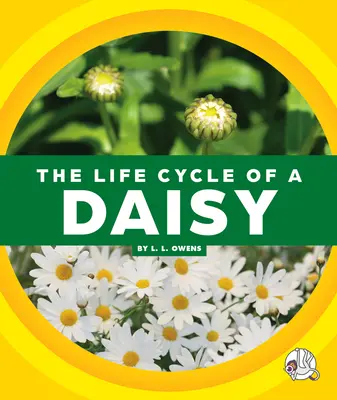 Cykl życia stokrotki - The Life Cycle of a Daisy