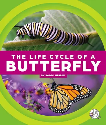 Cykl życia motyla - The Life Cycle of a Butterfly