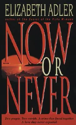 Teraz albo nigdy - powieść - Now or Never - A Novel