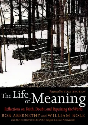 Życie sensu - refleksje na temat wiary, wątpliwości i naprawy świata - Life Of Meaning - Reflections on Faith, Doubt and Repairing the World