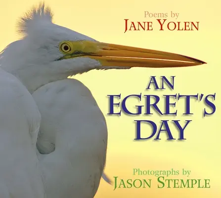 Dzień czapli - An Egret's Day