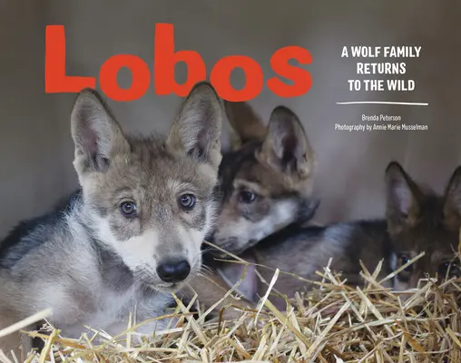 Lobos: Wilcza rodzina powraca na wolność - Lobos: A Wolf Family Returns to the Wild