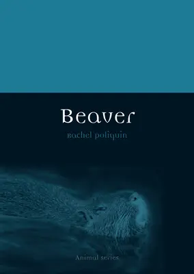 Bóbr - Beaver