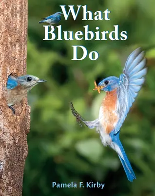 Co robią niebieskie ptaki - What Bluebirds Do