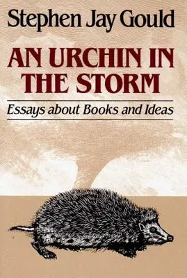 Urchin in the Storm: Eseje o książkach i ideach - Urchin in the Storm: Essays about Books and Ideas