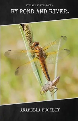 Nad stawem i rzeką - By Pond and River