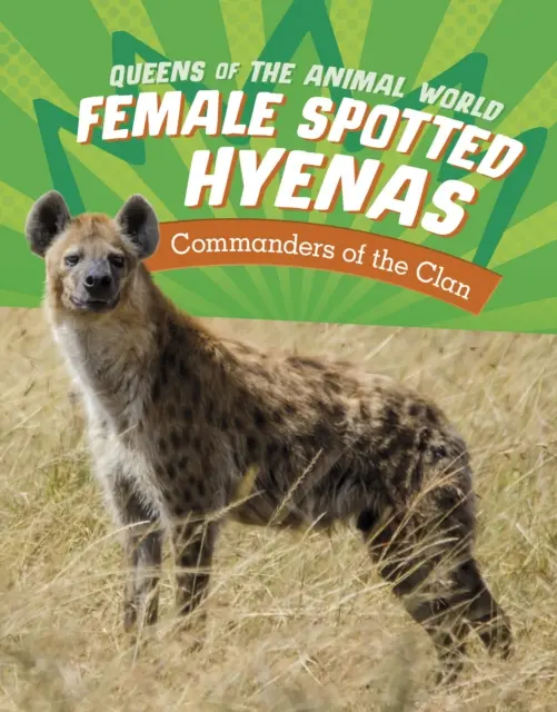 Samice hien cętkowanych - dowódcy klanu - Female Spotted Hyenas - Commanders of the Clan