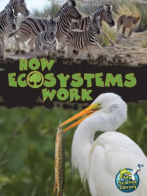 Jak działają ekosystemy - How Ecosystems Work