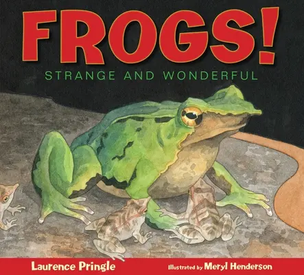 Żaby! Dziwne i wspaniałe - Frogs!: Strange and Wonderful