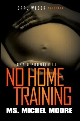 No Home Training - Say U Promise III