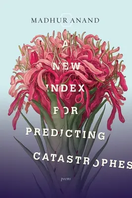 Nowy wskaźnik przewidywania katastrof - A New Index for Predicting Catastrophes