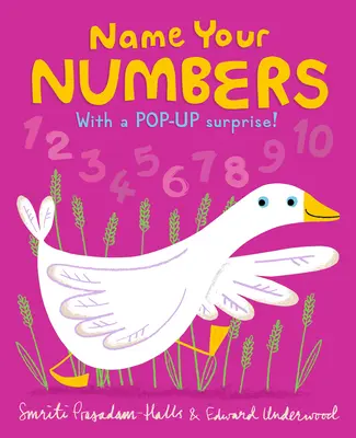 Nazwij swoje numery - Name Your Numbers