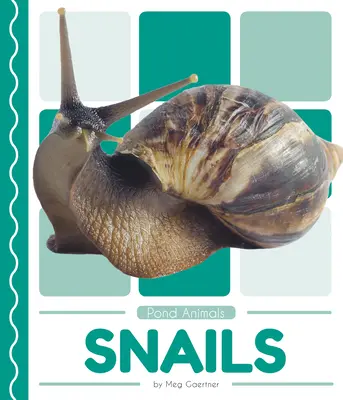 Ślimaki - Snails