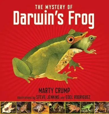 Tajemnica żaby Darwina - The Mystery of Darwin's Frog