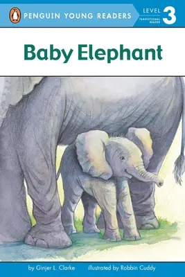 Mały słoń - Baby Elephant