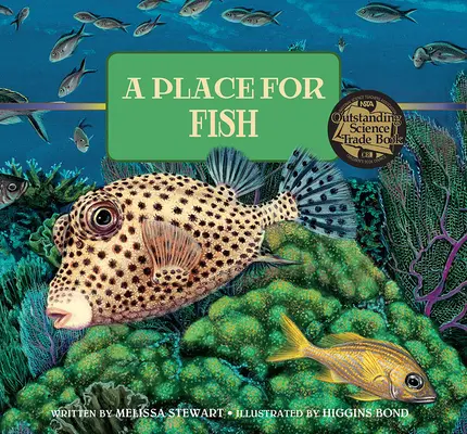 Miejsce dla ryb - A Place for Fish