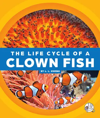 Cykl życia błazenka - The Life Cycle of a Clown Fish