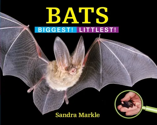 Nietoperze: Największe! Najmniejsze! - Bats: Biggest! Littlest!