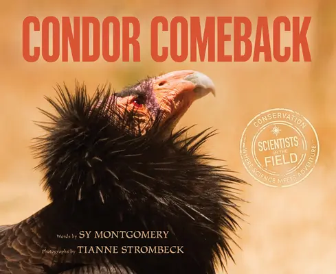 Powrót kondora - Condor Comeback