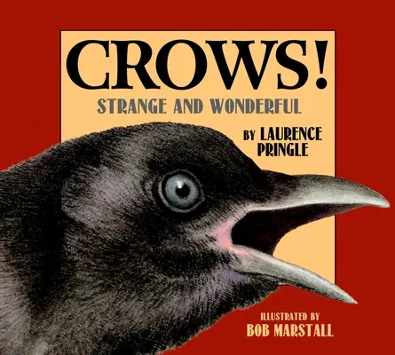 Wrony! Dziwne i wspaniałe - Crows!: Strange and Wonderful