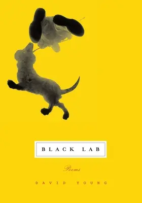 Black Lab: Wiersze - Black Lab: Poems