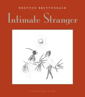 Intimate Stranger: Książka o pisaniu - Intimate Stranger: A Writing Book