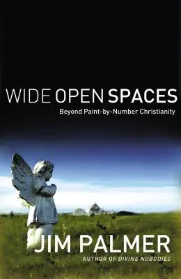 Szeroko otwarte przestrzenie: Chrześcijaństwo ponad malowaniem po numerach - Wide Open Spaces: Beyond Paint-By-Number Christianity