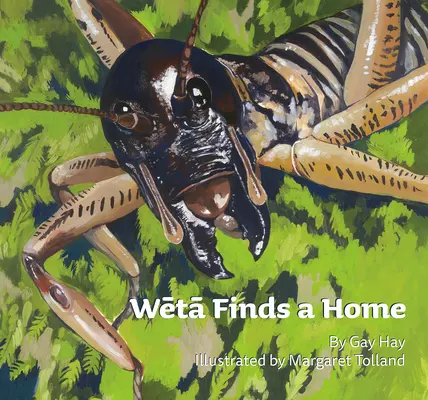 Weta znajduje dom - Weta Finds a Home