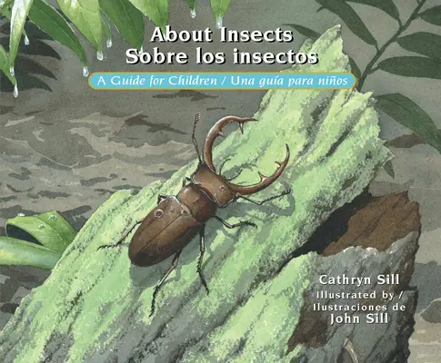 O owadach / Sobre Los Insectos: Przewodnik dla dzieci / Una Gua Para Nios - About Insects / Sobre Los Insectos: A Guide for Children / Una Gua Para Nios