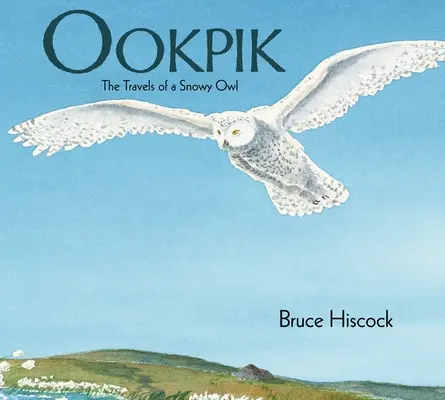 Ookpik: Podróże śnieżnej sowy - Ookpik: The Travels of a Snowy Owl