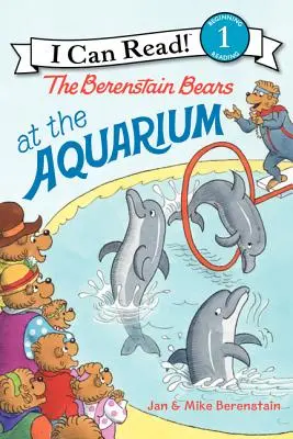 Misie Berenstain w akwarium - The Berenstain Bears at the Aquarium