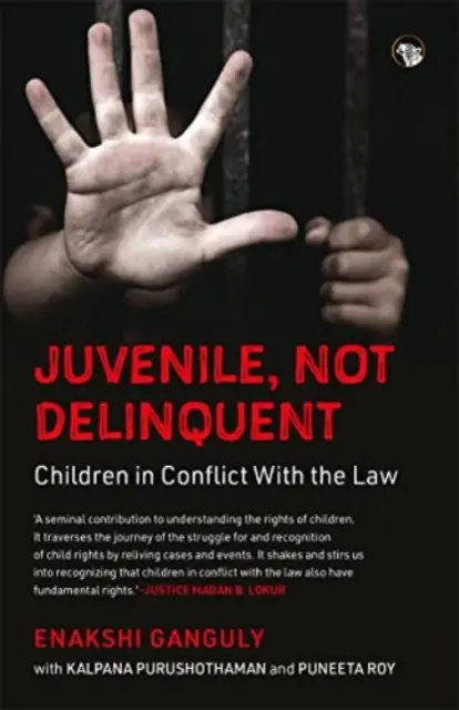 Nieletni, nie przestępca - dzieci w konflikcie z prawem - Juvenile, Not Delinquent - Children in Conflict With The Law