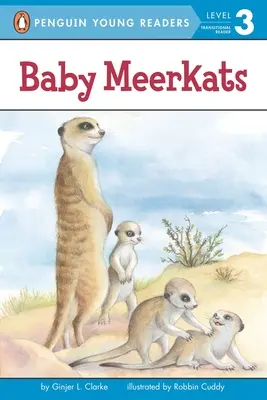 Małe surykatki - Baby Meerkats