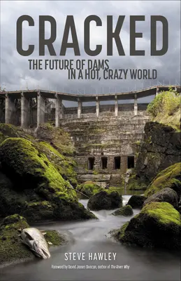 Cracked: Przyszłość zapór w gorącym, chaotycznym świecie - Cracked: The Future of Dams in a Hot, Chaotic World