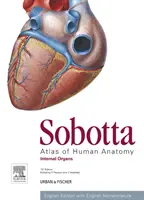 Sobotta Atlas of Human Anatomy, Vol. 2, 15th ed., English - Narządy wewnętrzne - Sobotta Atlas of Human Anatomy, Vol. 2, 15th ed., English - Internal Organs