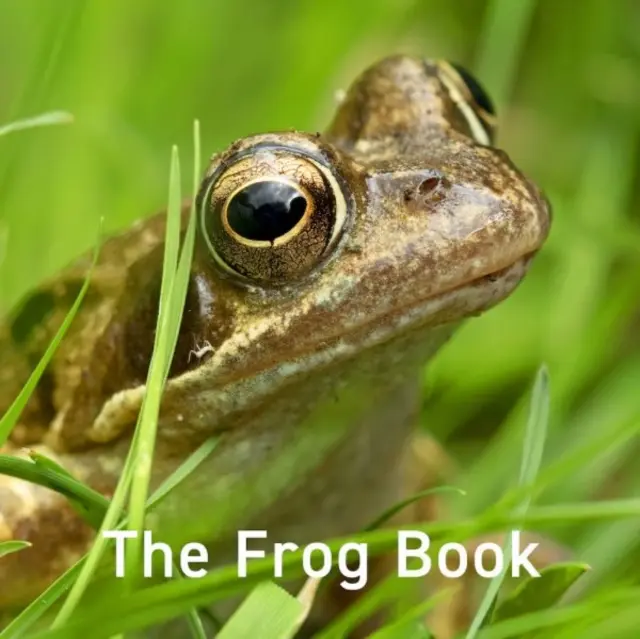 Księga żaby - Frog Book