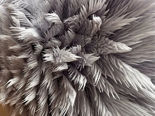 Japonia: Body Perform Live - Japan: Body Perform Live