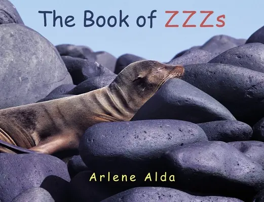 Księga ZZZs - The Book of ZZZs