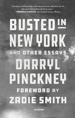 Zatrzymany w Nowym Jorku i inne eseje - Busted in New York and Other Essays