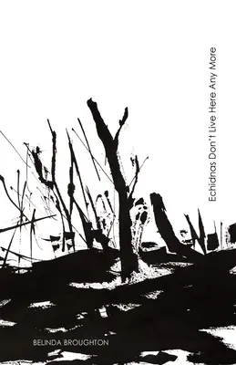 Echidny już tu nie mieszkają: Wiersze o stracie i odbudowie po pożarach buszu Black Summer - Echidnas Don't Live Here Any More: Poems of loss and recovery since the Black Summer bushfires