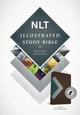 Ilustrowana Biblia do studiowania - NLT - Illustrated Study Bible-NLT