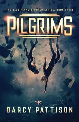 Pielgrzymi - Pilgrims