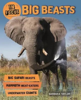 W centrum uwagi: Wielkie bestie - In Focus: Big Beasts