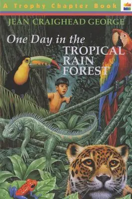 Jeden dzień w tropikalnym lesie deszczowym - One Day in the Tropical Rain Forest