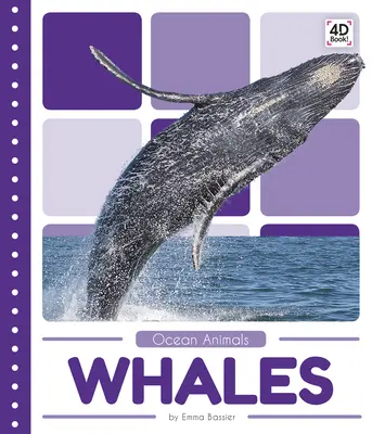 Wieloryby - Whales