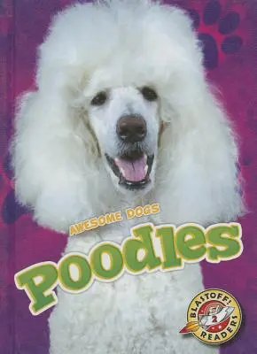 Pudle - Poodles