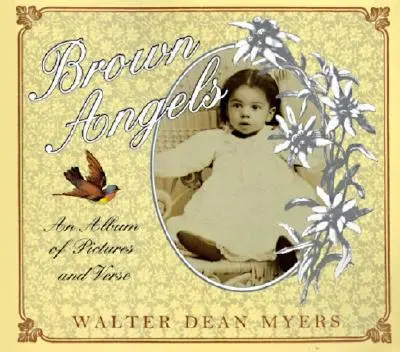 Brown Angels: Album z obrazami i wierszami - Brown Angels: An Album of Pictures and Verse